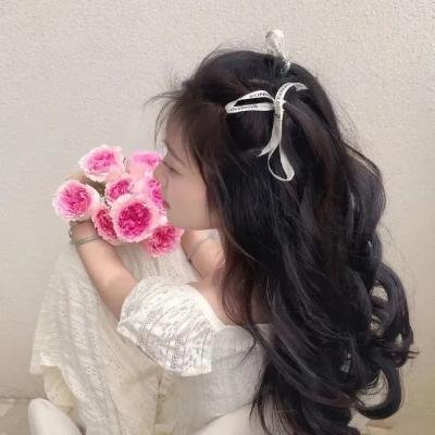 洪拳小子